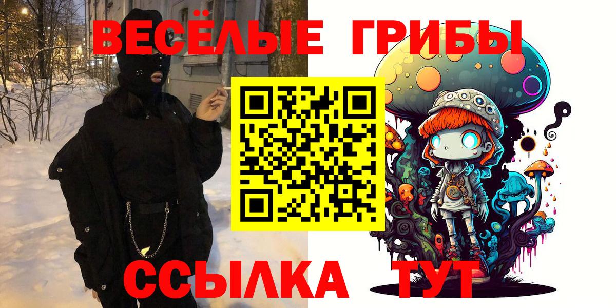 Псилоцибиновые грибы Psilocybine cubensis  Махачкала 