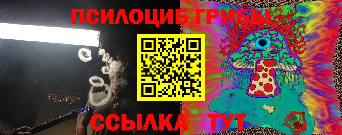 Галлюциногенные грибы ЛСД  Галлюциногенные грибы MAGIC MUSHROOMS  купить наркоту  Махачкала  Вход с VPN 