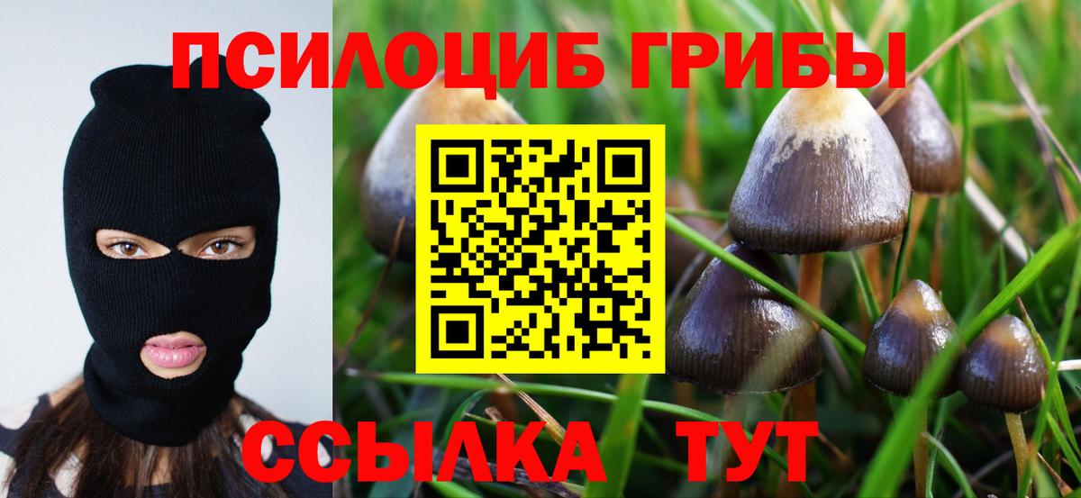 Галлюциногенные грибы GOLDEN TEACHER Махачкала